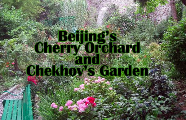 Beijing's Cherry Orchard and Chekov's Garden | Lissa Tyler Renaud | Scene4 Magazine April 2015 www.scene4.com
