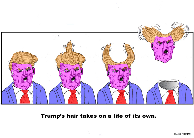 Trump's Hair | Elliot Feldman - Scene4 Magazine - November 2015 www.scene4.com