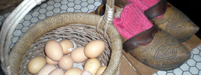 EggsSabot-cr