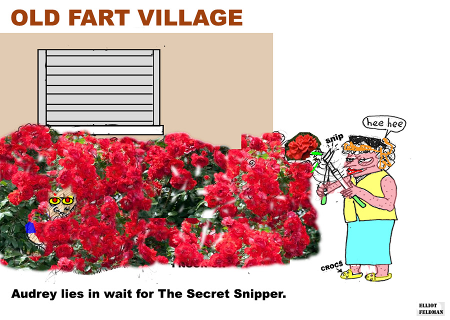 Cartoon: Old Fart Village | Elliot Feldman | Scene4 Magazine-June 2017 | www.scene4.com
