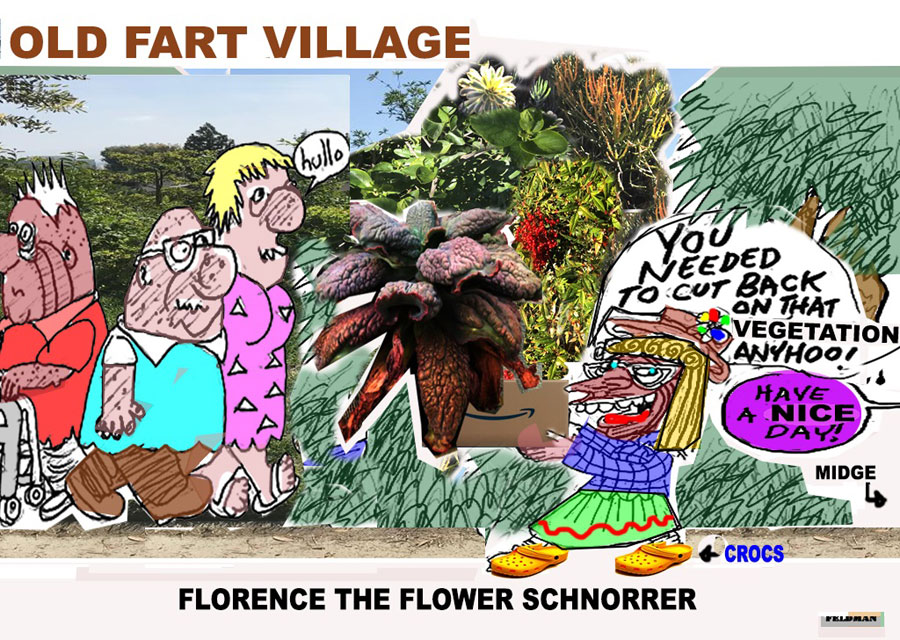 Cartoon: Old Fart Village - "The Flower Schnorrer" | Elliot Feldman | Scene4 Magazine -January 2019-www.scene4.com