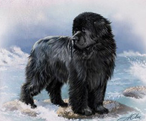 Beauty without Vanity-Newfoundland Dogs in Literature and Art | Carla Maria Verdino-Süllwold | Scene4 Magazine | November 2019 | www.scene4.com