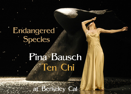 Scene4 Magazine: Pina Bausch - Ten Chi - at Berkeley Cal