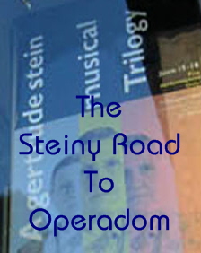 Scene4 Magazine-The Steiny Road  To Operadom