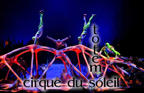 Scene4 - International Magazine of Arts and Media - Cirque du Soleil "Totem" | October 2012 | www.scene4.com